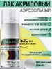 Лак аэрозоль глянцевый VICG VESLEE 520мл (1/12)
